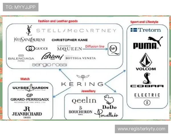 关于开云的全面介绍与最新动态，助你深入了解品牌背后的故事与发展趋势