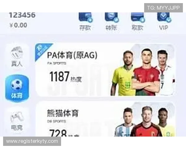 开云电子体育app官网下载官方渠道，确保账号安全与游戏体验优质保障